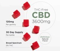 Product_details_CBD_Gummies_BS_3600 202x170