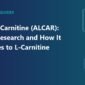 acetyl l carnitine 85x85