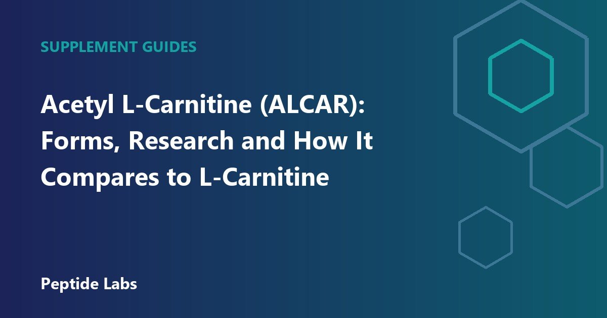 Acetyl L-Carnitine (ALCAR): Forms, Research and How It Compares to L-Carnitine