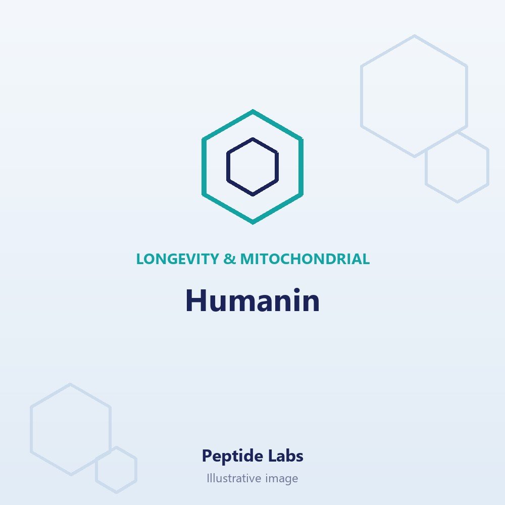 Humanin (illustrative image)