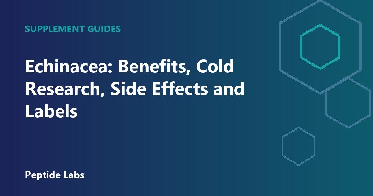 Echinacea: Benefits, Cold Research, Side Effects and Labels