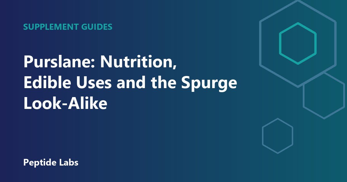 Purslane: Nutrition, Edible Uses and the Spurge Look-Alike
