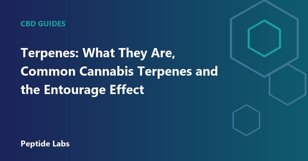 Terpenes: What They Are, Common Cannabis Terpenes and the Entourage Effect