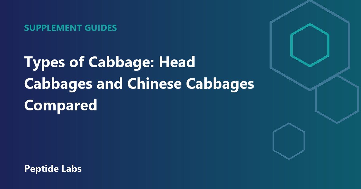 Types of Cabbage: Head Cabbages and Chinese Cabbages Compared