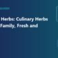 types of herbs 85x85