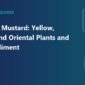 types of mustard 85x85