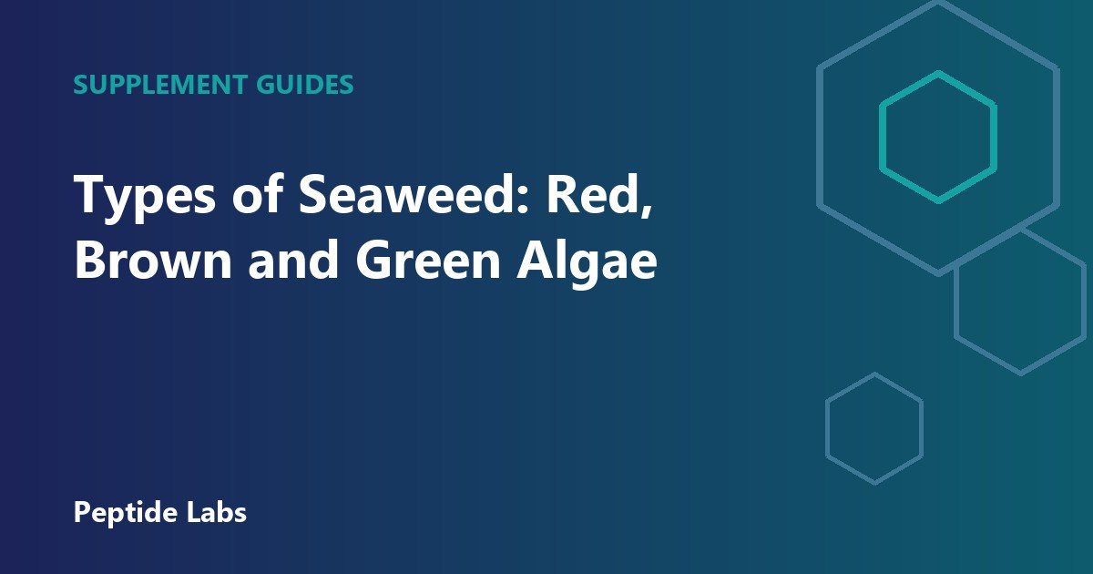 Types of Seaweed: Red, Brown and Green Algae